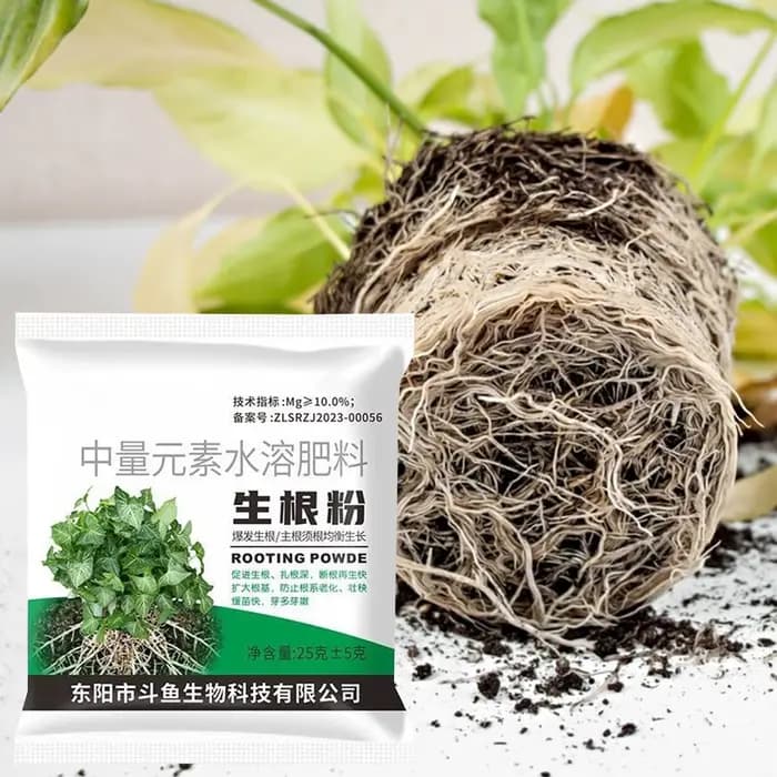 Poudre d'enracinement 1 sac – Stimulateur de croissance des racines pour plantes, engrais pour boutu