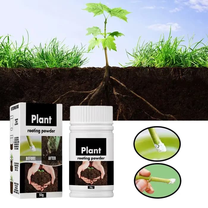 Poudre d'enracinement pour plantes rares, fruits, fleurs, Nutrition d'enracinement rapide, hydroponi