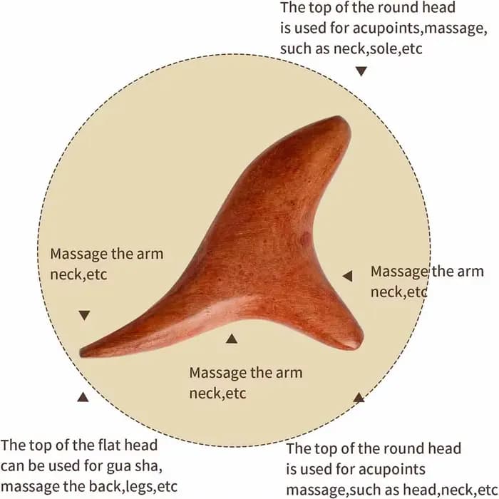 Outils Gua Sha de Massage à Point de déclenchement en bois, outils professionnels de Drainage lympha