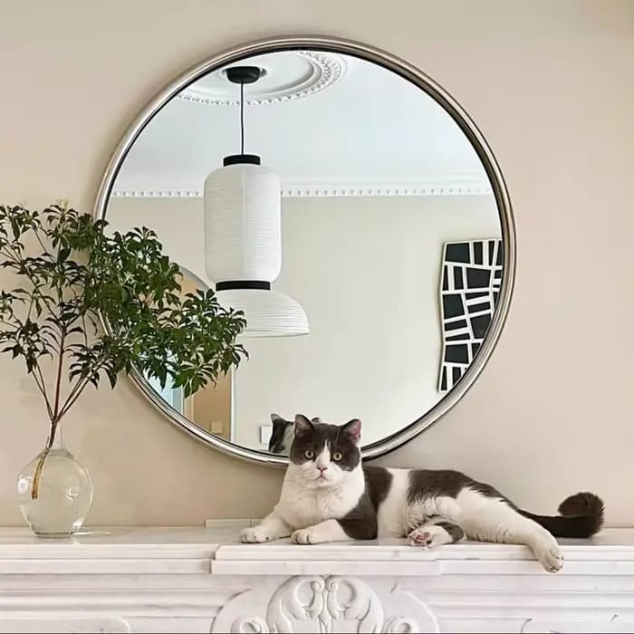 Miroir de salle de bains en acier inoxydable, petit cadre métallique moderne, miroir de maquillage P