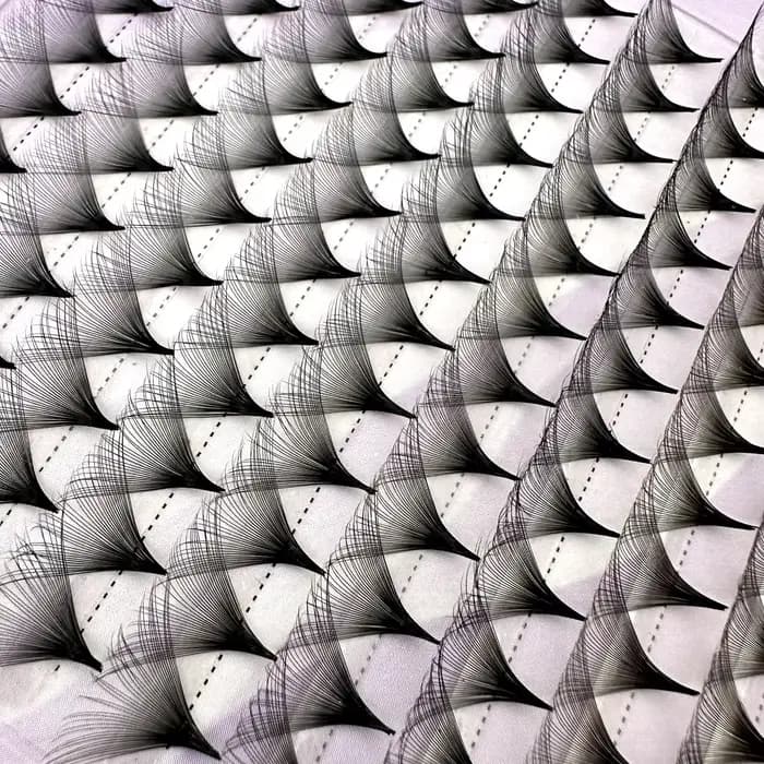 30/40D ventilateurs préfabriqués 0.05 Super moelleux gros ventilateurs Extensions de cils Base mince