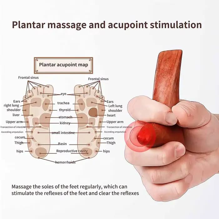 Outils Gua Sha de Massage à Point de déclenchement en bois, outils professionnels de Drainage lympha
