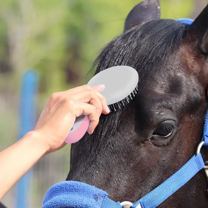 Brosse à queue de cheval