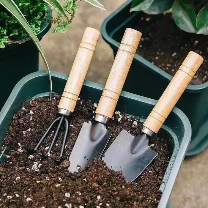 3 pièce/1 ensemble Mini