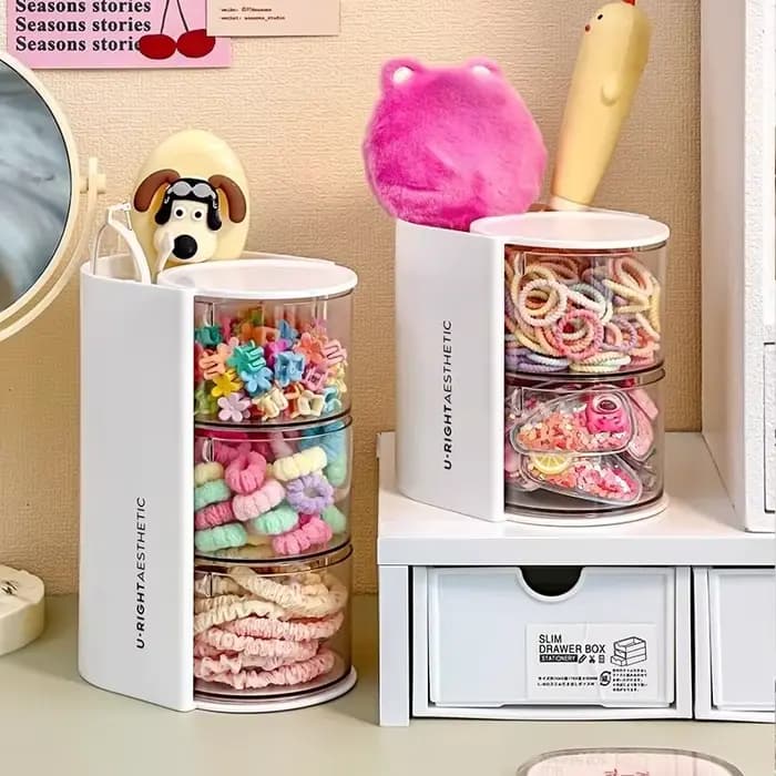 Organisateur d'accessoires pour cheveux