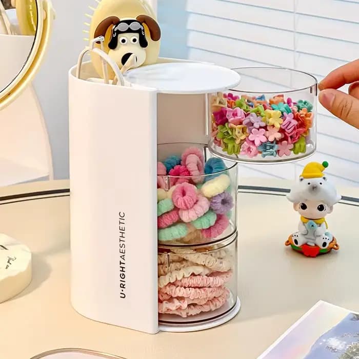 Organisateur d'accessoires pour cheveux