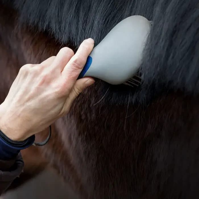 Brosse à queue de cheval