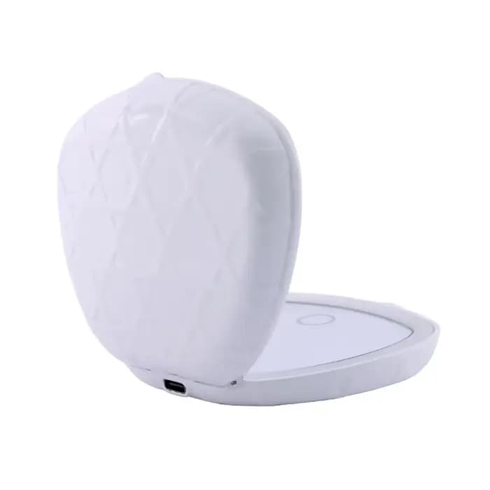 Miroir de maquillage en forme de coquille avec lumières LED, miroir de voyage 5X, miroir de maquilla