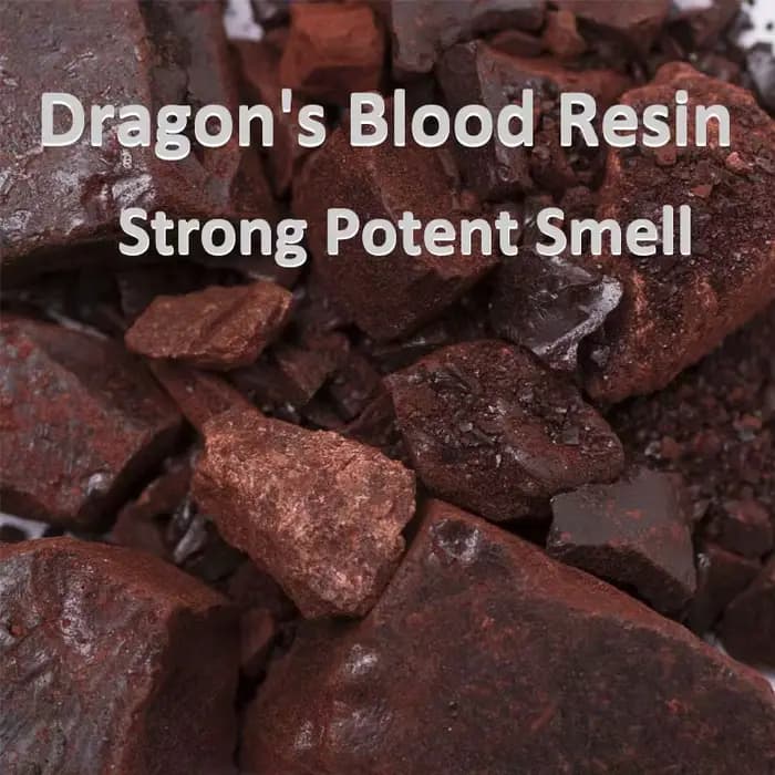 Résine de sang de Dragon (Daemonorops Draco) Purification, Protection, Encens d'exorcisme Bloc de go