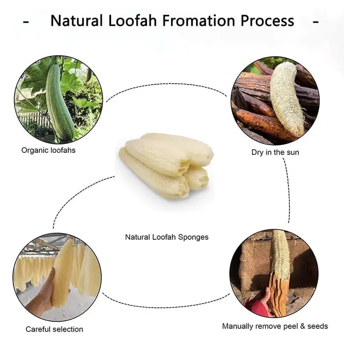 Lot d'éponges loofah bionickel ables en cellulose, 4 pièces, extinction naturelle, brosse de douche, pour la cuisine, HOfah