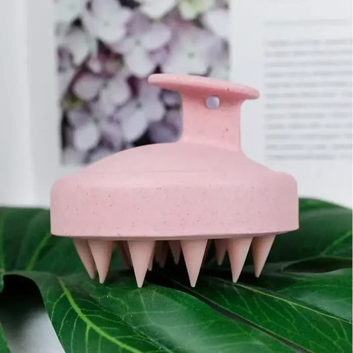 Nettoyage et massage de la tête Brosse