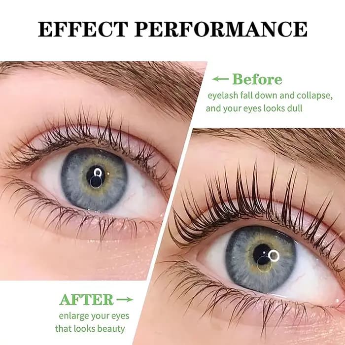 Gel Solide de Lifting des Cils