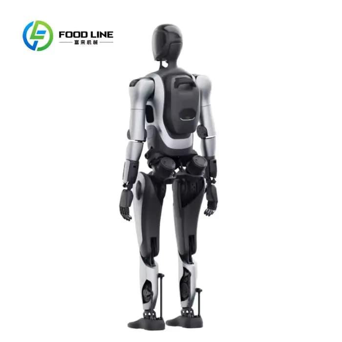 Robot humanoïde modulaire personnalisé avec modules articulés ajustables pour une utilisation industrielle et domestique spécialisée