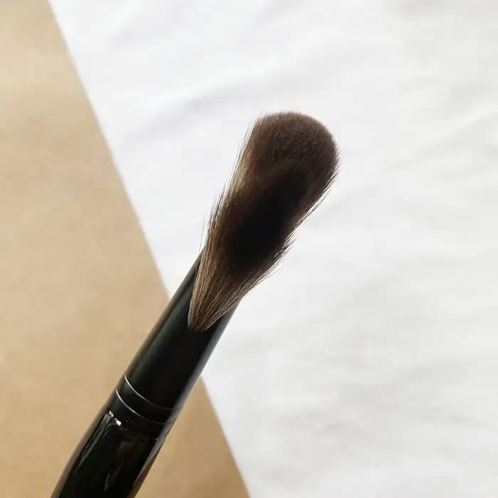 SCOTT – brosse à poudre transparente en forme d'éventail, 66 cheveux synthétiques doux, Blush, mélange de reflets, brosse de maquillage cosmétique