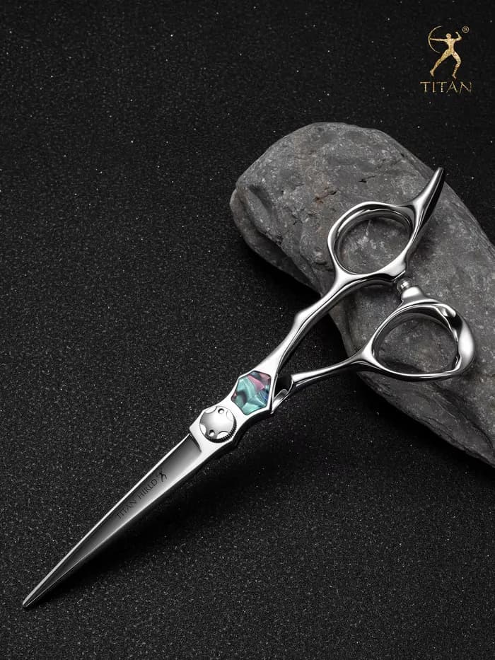 Ciseaux de coiffeur Titan, ciseaux de coiffure de qualité professionnelle pour stylistes, coupe fine