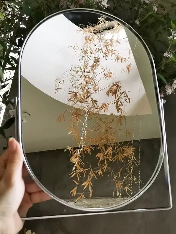 Miroir de maquillage ovale en métal haut de gamme