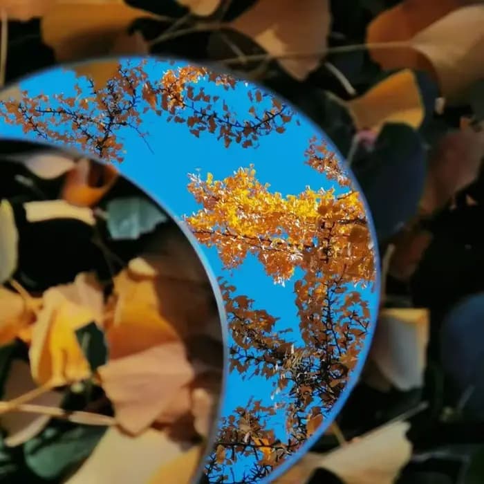 Miroir à selfie, miroir grand angle de voyage