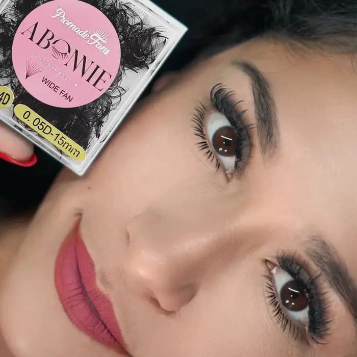 ABONNIE 500 ventilateurs Extensions de cils en éventail en vrac 6D-20D 8-18mm Base pointue préfabriquée tige moyenne