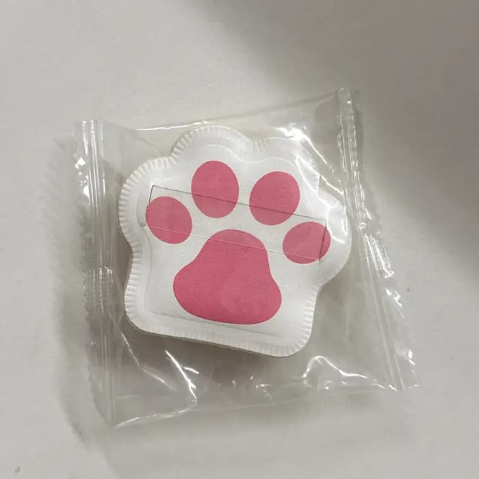 Éponges à poudre douce bouffantes fond de teint crème coussin bouffée chat griffe forme maquillage éponge