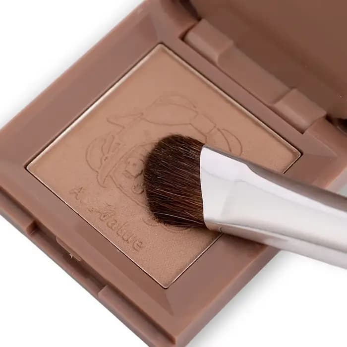 Pinceau de maquillage pour les contours de l'Antarctique