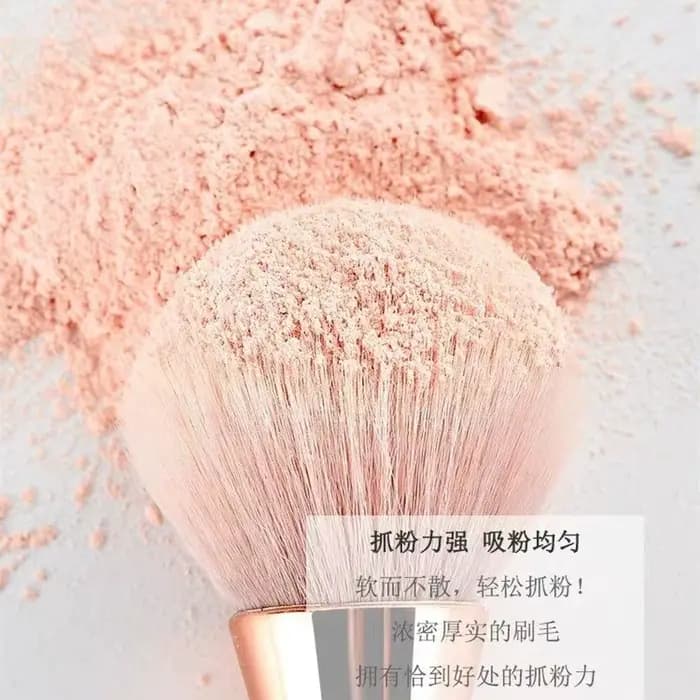 Pinceau à poudre et blush professionnel